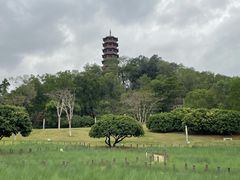 -红花山公园