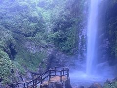 -莫里热带雨林景区