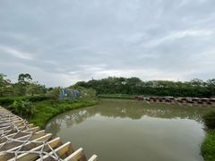 -江门古劳水乡旅游区
