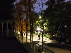 -成都市活水公园