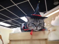 -猫和宫(六道口店)