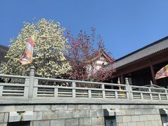 -横山寺