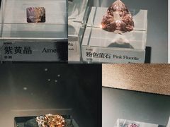 -中国地质博物馆
