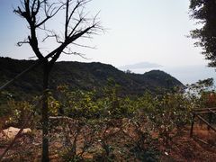 -东澳岛