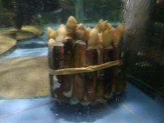 -百丈园(陈村店)