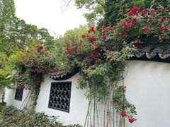 -绮园景区