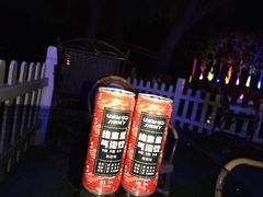 -枫花园汽车电影院(朝阳公园店)