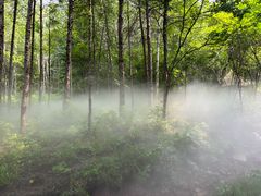 -帽儿山风景区