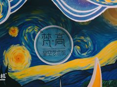 -梵高星空艺术馆(北京旗舰店)