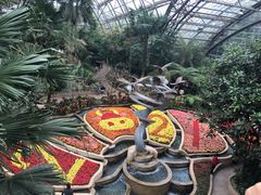 -南山植物园