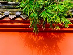 -香园自助小火锅