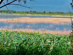 景点-野鸭湖国家湿地公园