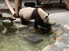 -西安秦岭野生动物园