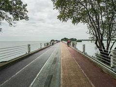 -贡湖湾湿地公园