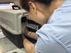 -四月宠物医院·猫专科·心脏专科·内科(转塘店)