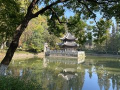 -习家池