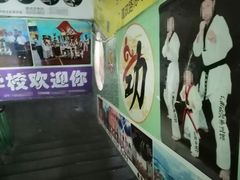 -广西劲劲跆拳道俱乐部
