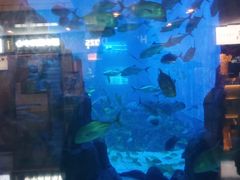 -成都浩海立方海洋公园