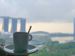 -新加坡瑞士史丹福酒店