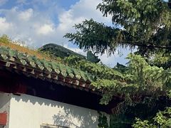 -北陵公园