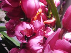 -春树下·树屋花房西餐厅(罍街AS1980店)