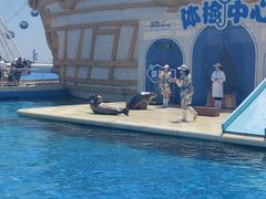 -秦皇岛乐岛海洋王国