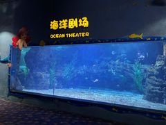 -郑州海洋馆