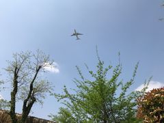 -南通洲际绿博园