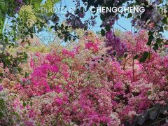 -深圳国际园林花卉博览园