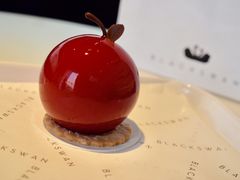 -BLACKSWAN黑天鹅(环球店)