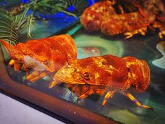 -旅南活海鲜-屏东(墾丁海鮮，海鮮餐廳，墾丁團體合菜，平價熱炒，墾丁熱炒店，活海鮮推薦，在地海鮮餐廳)