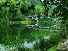 -马家湾湿地公园