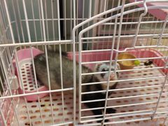 -三旗百汇商品城