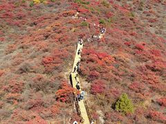 -水峪民俗村