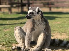 -杭州野生动物世界