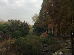 -宝界山林公园