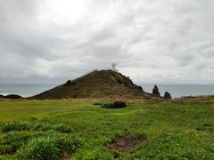 -涉地可支