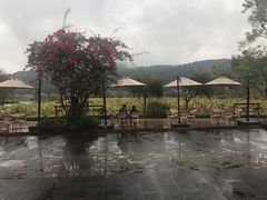 -比顿咖啡(和顺古镇店)