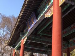-北陵公园