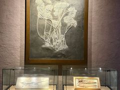 -中华赏石园
