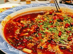 -新概念来凤鱼(璧山店)