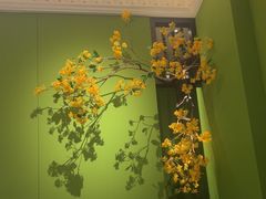 -金链花·泰国餐厅(国贸店)