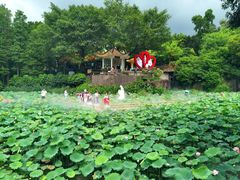 -广州莲花山旅游区