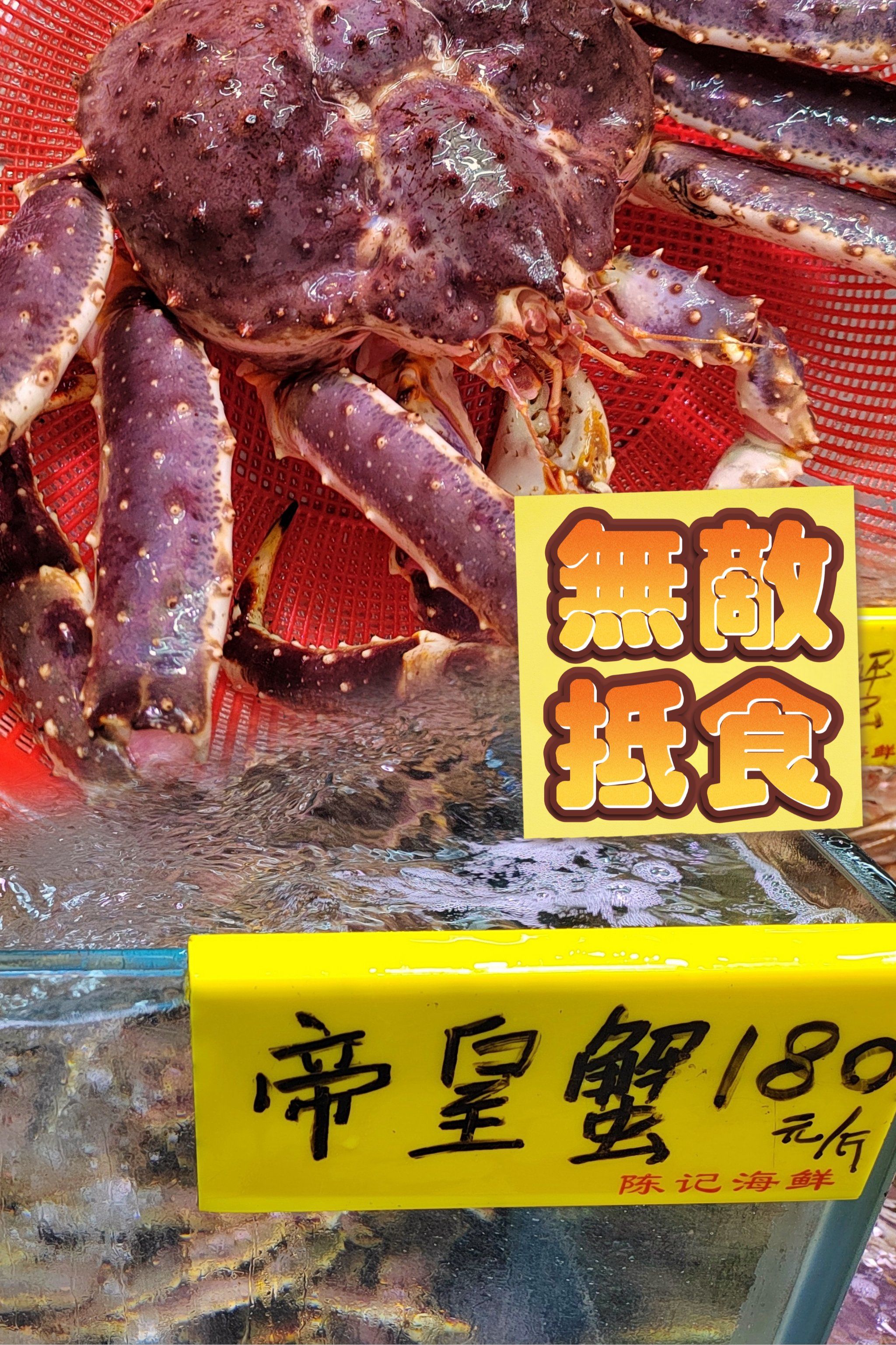 帝王蟹旺季到来!千元帝王蟹大餐!