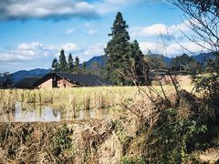 -山王坪喀斯特国家生态公园