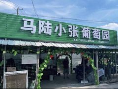 -马陆小张葡萄园农家乐