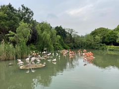 -宁波野生动物园
