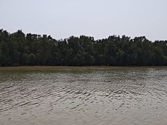 -沙头涌渔栏海鲜餐厅