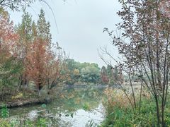 -翠湖国家城市湿地公园
