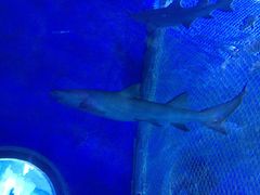 -多彩贵州城极地海洋世界